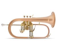 Bugle à Piston Trompe Flugelhorn en Sib Bronze Brossé 3 Piston avec Embouchure
