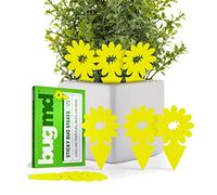 BugMD Lot de 12 pièges à Insectes Collants - Tue-Mouches à Fruits d'intérieur, piège à moucherons pour Plantes, pièges à Mouches Collants Jaunes pour Plantes, moucherons pour Plantes, sans Odeur