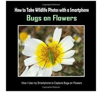 Bugs On Flowers: How I Use My Smartphone To Capture Bugs On Flowers (How To Take Wildlife Photos With A Smartphone)