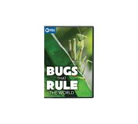 Bugs That Rule The World - Dvd