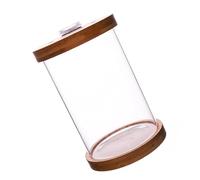 BUGUUYO 1 Pc Aquarium paysager changeur d'eau d'aquarium étain air LED Aquarium bouda Decoration Interieure Petit Aquarium décor de Mini Aquarium Verre à Haute teneur en Borosilicate Brown