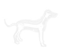 BUGUUYO 1ensemble Mannequin Chien Gonflable pour Présentation De Vêtements Animaux Modèle De Sculpture De Chien pour Magasins De Petits Animaux Transparent