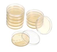 BUGUUYO 20 pièces Plaques de Gélose Nutritive Pré-coulées Boîtes de Pétri pour Expériences Scientifiques Fournitures de Laboratoire Microbiologie