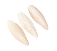 BUGUUYO 3pièces Coffret De Jouets à Mâcher Cuttlefish pour Perroquets Accessoires pour Oiseaux pour Entraînement Divertissement Cage