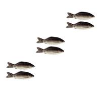 BUGUUYO 6pièces Coussins Forme De Poisson Réalistes De Jouets De Simulation pour Décorations pour Maison Chambre Anniversaire Amusant