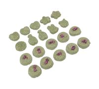 BUGUUYO Biscuits À Lherbe De Lapin 20 Pièces Jouets Molaires Nourriture Hollandaise Jouets À Mâcher pour Animaux De Compagnie pour Petits Animaux