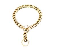 BUGUUYO Collier Doré pour Animal De Compagnie Chaîne Tendance Et Facile À Entretenir