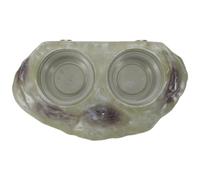 BUGUUYO Gamelle Magnétique Double pour Lézard et Insectes Bol Alimentaire Surélevé pour Reptiles et Petits Animaux Compatible Terrariums Caméléons et Geckos Entretien Facile Vert Lot