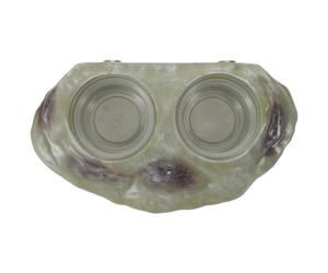 BUGUUYO Gamelle Magnétique Double pour Lézard et Insectes Bol Alimentaire Surélevé pour Reptiles et Petits Animaux Compatible Terrariums Caméléons et Geckos Entretien Facile Vert Lot