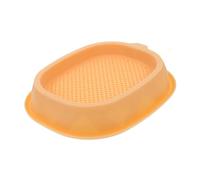 BUGUUYO Jardinière Hydroponique pour Herbe À Chat Tasse pour Herbe À Chat Entretien Facile