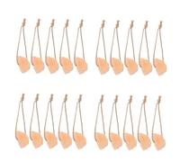 BUGUUYO Lot de 20 Blocs De Sel Naturel pour Chevaux À Lécher Blocs De Sel Naturel pour Chèvre pour Chèvre en Corde Jouets À Mâcher en