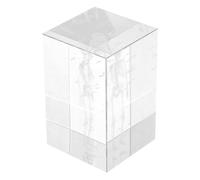 BUGUUYO Modèle Anatomique Humain en Cristal 3d, Cube Gravé Réaliste du Squelette Cœur, Poumons et Cerveau, Outil Pédagogique Précis pour Études D’anatomie et Biologie, Décoration Bureau