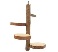 BUGUUYO Perroquet Tremplin Délicat Accessoires pour Oiseaux pour Cages Jouer Perchoir à Oiseaux Planche Stand De Saut d'oiseaux Stand D'oiseau Perchoirs pour Aras Animal De Compagnie Bois