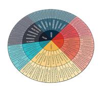 BUGUUYO Sticker Éducatif Roue des Émotions pour Décoration Murale Polyvalente pour École Bureau Maison Outil Motivationnel pour Travailleurs Sociaux et Thérapeutes