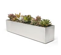 Buhbo Jardinière rectangulaire Moderne en Acier Inoxydable brossé 40,6 cm