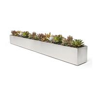 Buhbo Jardinière rectangulaire Moderne en Acier Inoxydable brossé 81,3 cm