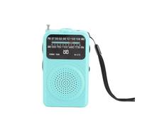 Buhdjfnke Radio FM/AM W-215 à Bande Complète et Canaux Multiples, Interface 3,5 Mm, avec Lampe Torche et Éclairage d'urgence pour L'Extérieur B