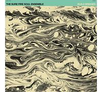 Sure Fire Soul Ensemble - Build Bridges [New Vinyl LP]