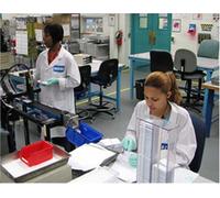 Building a Lean Culture