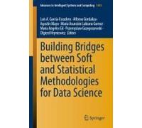 Building Bridges Between Soft And Statistical Methodologies For Data Science