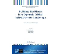 Building Resilience in a Dynamic Critical Infrastructure Landscape: Cross-sectoral Challenges
