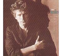 Building The Perfect Beast by Don Henley (1990-03-19)