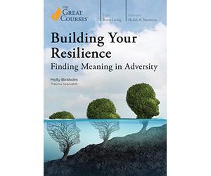 Building Your Resilience: Finding Meaning in Adversity