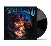 Built to Last (Vinyle Noir)