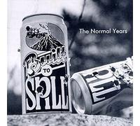 Built to Spill - Normal Years