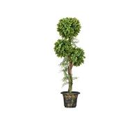HomCom Plante artificielle Arbre 3 boules de buis, pot en ciment, intérieur et extérieur, 115 cm