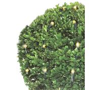Buis illuminé Ø 90cm - filet lumineux 100 LED