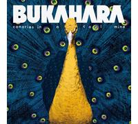 Bukahara Canaries in a Coal Mine (CD)