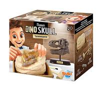 Buki - 2130 - Museum dino skull - t-rex