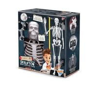 Buki - 2181 - Squelette 85cm