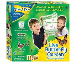 BUKI Elevage de papillons