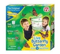 Buki Elevage De Papillons - Aucune