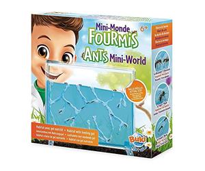 Buki - FS4206 - Mini monde des fourmis