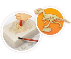 Buki Volcans et Dinosaures