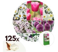 Bulb Garden Pink - 125x Mélange de Bulbes - Narcisse Allium Crocus Tulipe