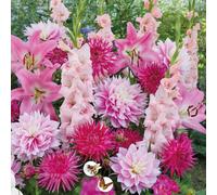 Bulbes à fleurs | Bulbes des meilleurs producteurs néerlandais | Sélection exclusive et contrôle qualité | Floraison garantie. (15 Bulbes Respect Nature Pink Carpet Dahlias Lys Freesias & Glaïeuls)