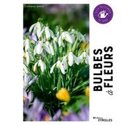 Bulbes à fleurs Petite encyclopédie du jardin - Stephanie Mahon - Eyrolles - broché - Dictionnaire et encyclopédie