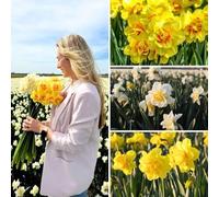 Bulbes de narcisse Double Trouble Mix - 100 bulbes à fleurs - taille du bulbe 12/14 - mélange jaune | blanc | orange | à fleurs doubles | floraison printanière | résistant à l'hiver - direct du