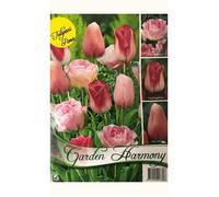 Bulbi Autunnali Collezione 15 Bulbi Di Tulipani Rosa Per Aiuole E Vasi