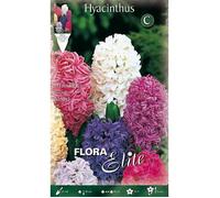 Bulbi Autunnali Giacinto Garden Mix Colori Confezione Da 3 Bulbi Bulbs Profumati