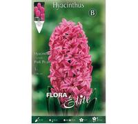 BULBI AUTUNNALI GIACINTO PINK PEARL CONFEZIONE DA 3 BULBI BULBS PROFUMATI