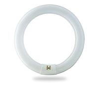 BULBMASTER FC8T9/CW 22 Watt 8 Inch Round T9 Fluorescent Circular Light Bulb, Cool White 4100K, 1120 Lumens G10Q 4-Pin Base 22W Circline Ceiling Lights