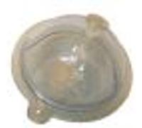 Buldo Rond Transparent - TORTUE - n3 - 0,30 mm - 15 g - Pêche en eau douce