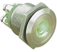 Bulgin MPI001/TERM/GN MPI001/TERM/GN Bouton-poussoir antivandalisme 24 V/DC 0.05 A 1 x Off/(On) à rappel vert (Ø x L) 22 mm x 31