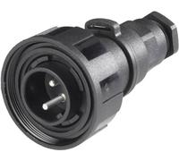 Bulgin PX0731/P Cosse cylindrique mâle mâle, droit Nombre total de pôles: 3 Série (connecteur rond): PX07 1 pc(s)