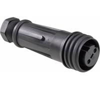 Bulgin PX0921/02/S Cosse cylindrique mâle femelle, droit Nombre total de pôles: 2 Série (connecteur rond): PX 1 pc(s)